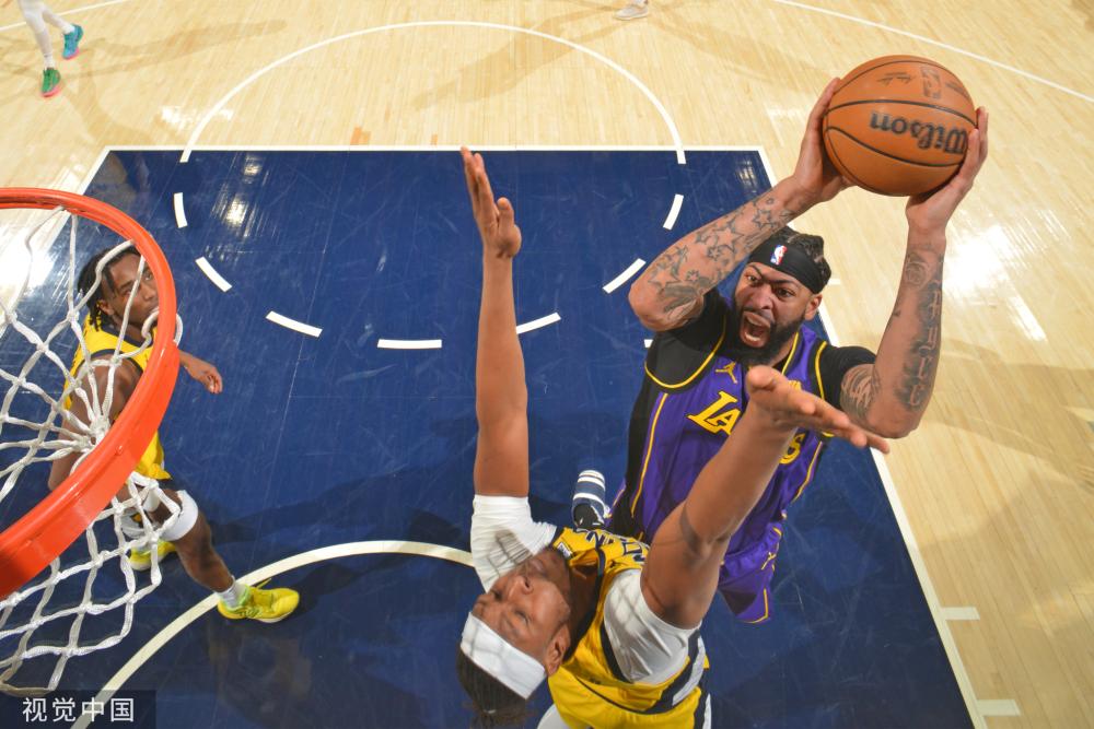 灰熊明显暴 灰熊明显暴