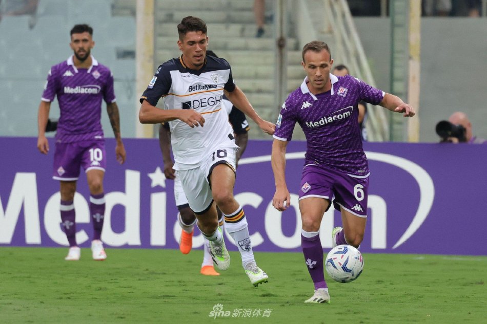 马洛塔这次 马洛塔这次